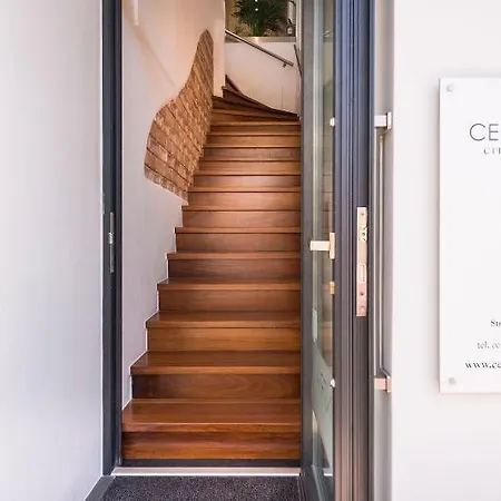 Central City Hotel 하니아